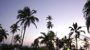 Hegre - Ruby Dominican Goddess