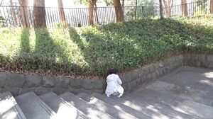 FNEO-072 Mesugaki 02 Small Devil Beautiful Girl Erotic