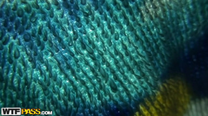 PrivateSexTapes Siterip 11.2017 - 4457_hd