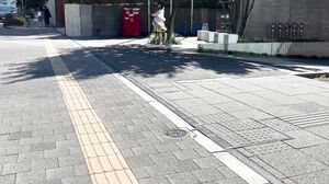 PAKO-062 The Wife Of The President Of A Music-Related E