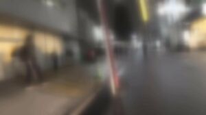 332SYS-001 Standing / Large Park / Blonde / Gal / Nice