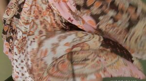 Amo Morbia - Windy Upskirts Pt. III 2