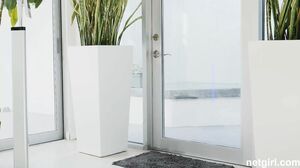 Armani & Numi - Perfect Match