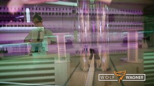 Wolf Wagner.love - Two guys fuck the horny boss lady to