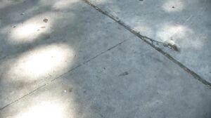 Africans Orgasm - Black passion from Africa