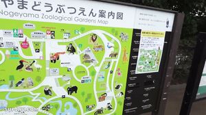 First shooting / Appearance! ! Limited 1980pt until tom