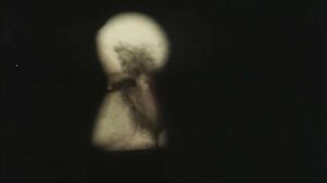 Rocco Siffredi 35mm - The big hard cock of Rocco for a