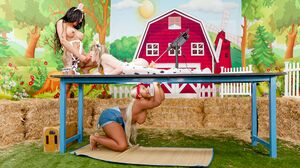 Chubby ebony milkmaid banged by shemales