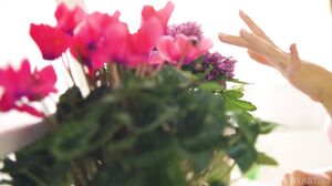 Avery - Follow Your Dreams