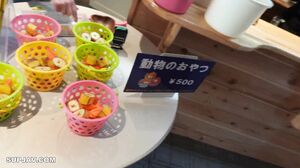 Appearance! ! 3 days limited 1980pt! ! Beloved heroine