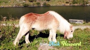 Hitzefrei - Coco Kiss - A Load Of Alien Sperm For Coco