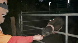 Porn Dude Casting - icole Kitt