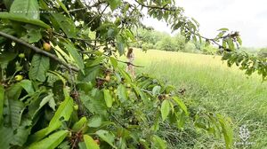 Anne Eden - Outdoor Voyeur fucks me !!