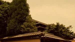 GMA-057 Bondage Training Wife Days Of Relentless Rope T