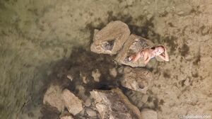 MPLStudios - Karissa Diamond - Far & Away