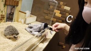 Date couple? What is this? Creampie sex twice.