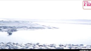 Raja Rani Ghulam Season 01 Episode 05 Uncut (2023)