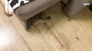 YanMachel - A Student Got Into an Affair With a Teacher