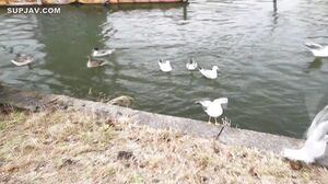 Consecutive vaginal ejaculation with sexual desire exposed to a signboard girl who works at a certain famous car parts store! ! The Ecup, which is usually hidden in a yellow uniform, is swaying and estrus in earnest, and the continuous climax while pantin