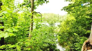 SWife Katy - Married MILF Lagged behind the Tourist Group and was Fucked right on