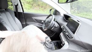 Sex_Associates - Dogging spot in Glasgow. My slutty wife loves to be watched. One of the guys cum on the side window.