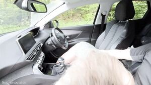 Sex_Associates - First dogging in the British countryside. My wife let the voyeur watch her giving me a head