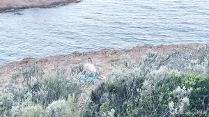 Sex_Associates - Public dick flash on the beach. She was shocked at first but then decided to suck me dry