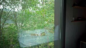 Hegre - A Day In The Life Of Toree