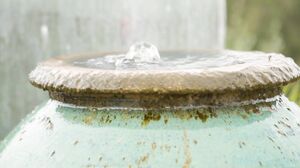 KinkySpa - Alexa Payne