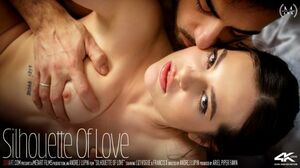 SexArt-Lizi Vogue Silhouette Of Love