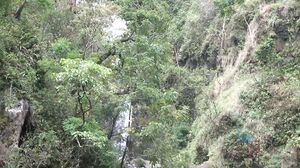 Sophia Leone - Hawaii Scene 5