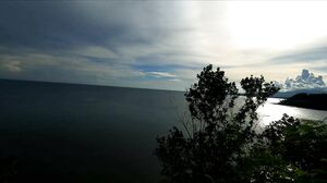 PassionBunny - Tinder wife make fast blowjob with nice view for stranger