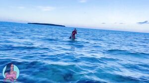 Sarai Minx - What's The Catch in HD