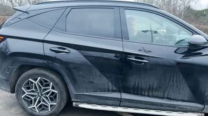 JacquieEtMichelTV - Angela Thanks Her Private Driver In Her Own Way