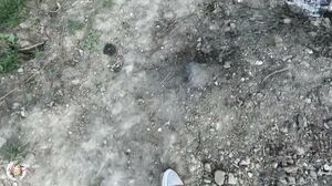 Aurbeaureal - MYM.fans no.086