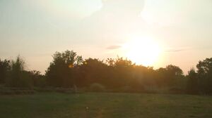 A Day In The Life Of Viktoriia