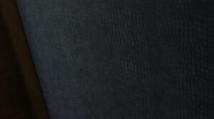 Ivy Ireland - Securing A Deal in HD