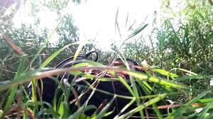 unicorninhoody - Redhead girl went on a picnic and showed her ass. Public sex in the park