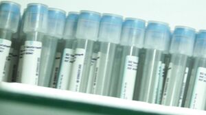 Veronica Leal - Erotic Discovery 2