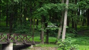 Nancy Ace - Sexy Blonde Teen Gets Fucked By The Lake