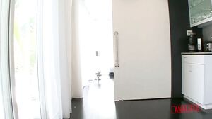 Analized - Big fake tits MILF Lisa Ann takes it up the ass