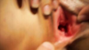 Mila Fox - I'm small, but I like big cocks