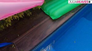 Cum Date Me - Horny girl sucks a huge cock to a mouth cumshot