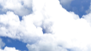 Abbi Price - Bald Surprise