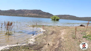 Susana Alcala - El Dominguero Mayor