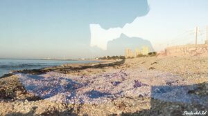 Linda del Sol - Olas de Placer - Linda del Sol & Cris Angelo