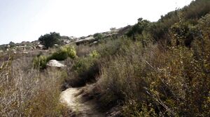 My Favorite Pornstars - Arab brunette with a nice ass wants to fuck outside