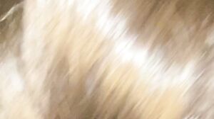 Vanessa.Taylor - OnlyFans no.25