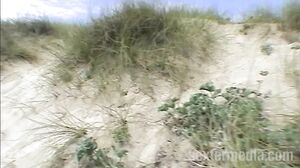 Beachbitches - Quick wet blowjob at the beach