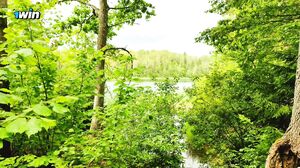 SuperwifeKat - A married tourist cheats on her husband right in the woods.